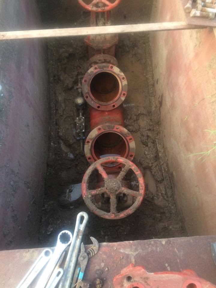 Indoor backflow preventer assembly installed on a basement water line